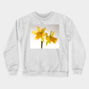 Daffodil Haiku Crewneck Sweatshirt